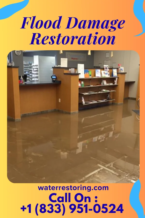 Flood Damage Restoration in Chase, KS