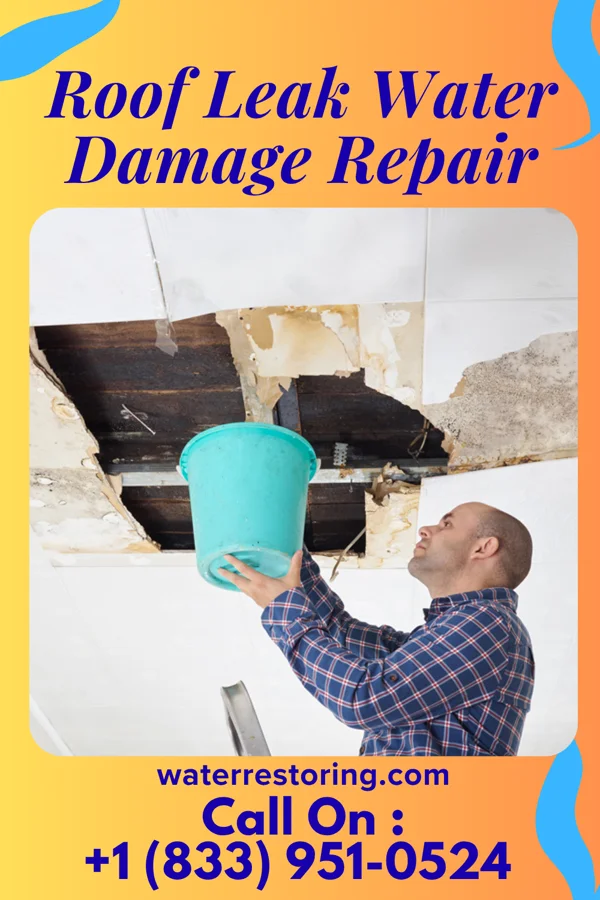 Roof Leak Water Damage Repair in Chase, KS