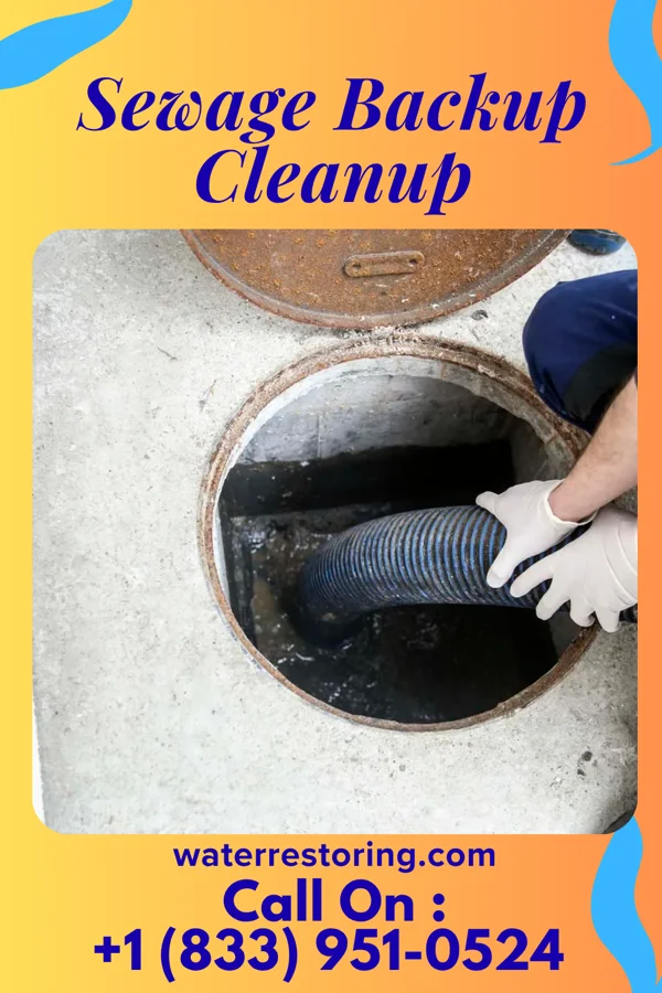 Sewage Backup Cleanup in Chase, KS